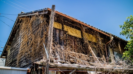 コラムを追加しました：【耐震改修】耐震改修による空き家の活用と資産価値の向上【空き家対策】